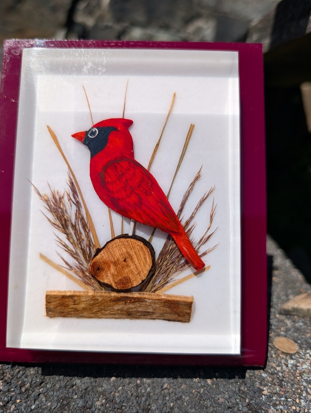 Vintage Unique Canada Lucite Art, Hand Carved Wood Cardinal Sculpture